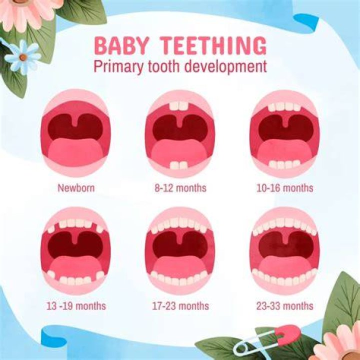 At what age all 32 teeth comes?