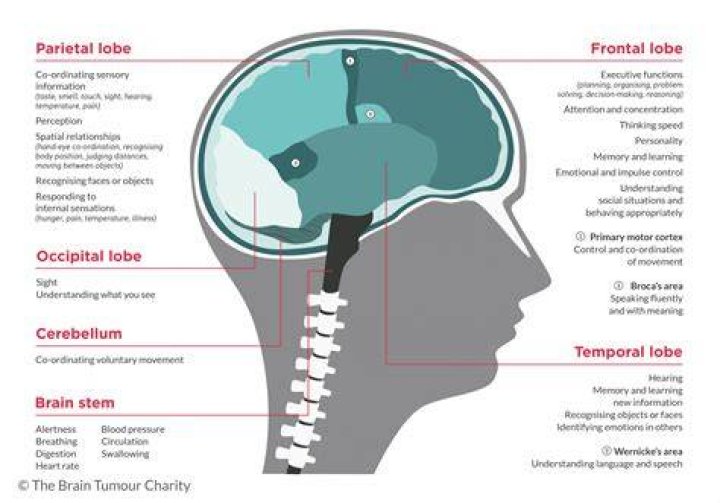 Can brain tumor affect eyes?