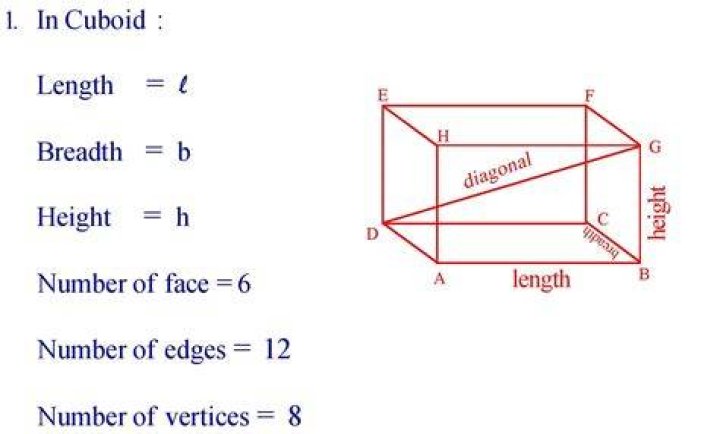 How many times are the number of edges of cuboid to the number of surfaces of cuboid?