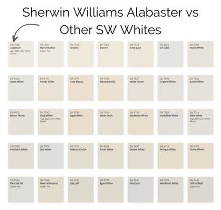 What are the undertones of Alabaster?