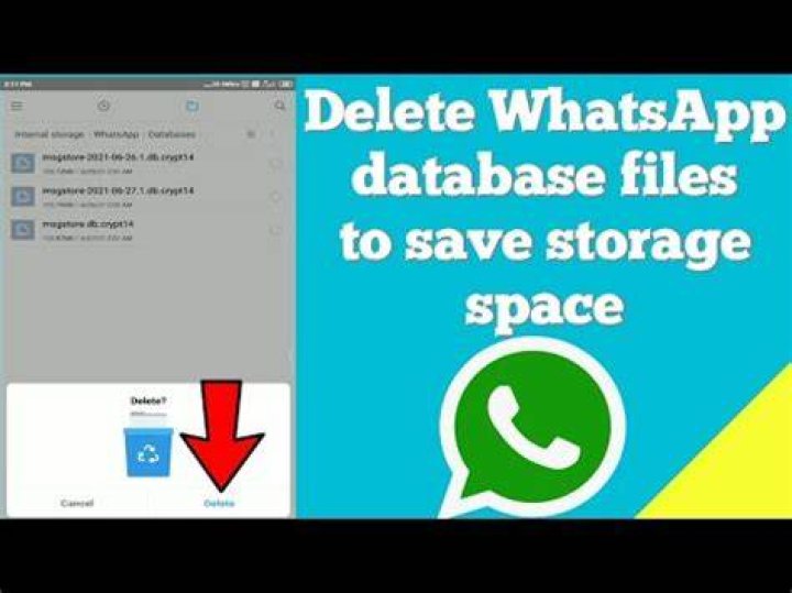 What happens if we delete WhatsApp database?