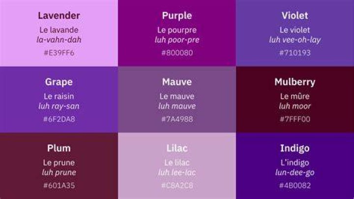 What is purple in French feminine?