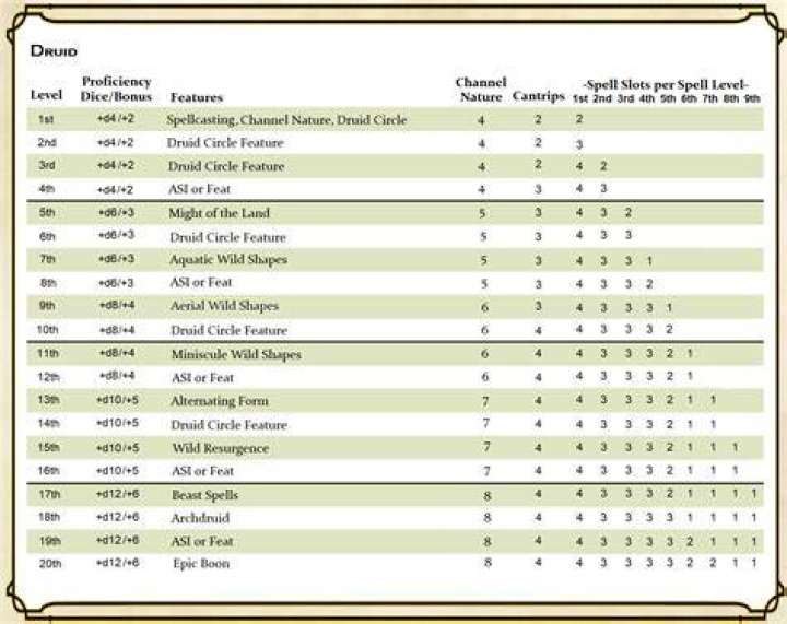 What stats are best for druid?